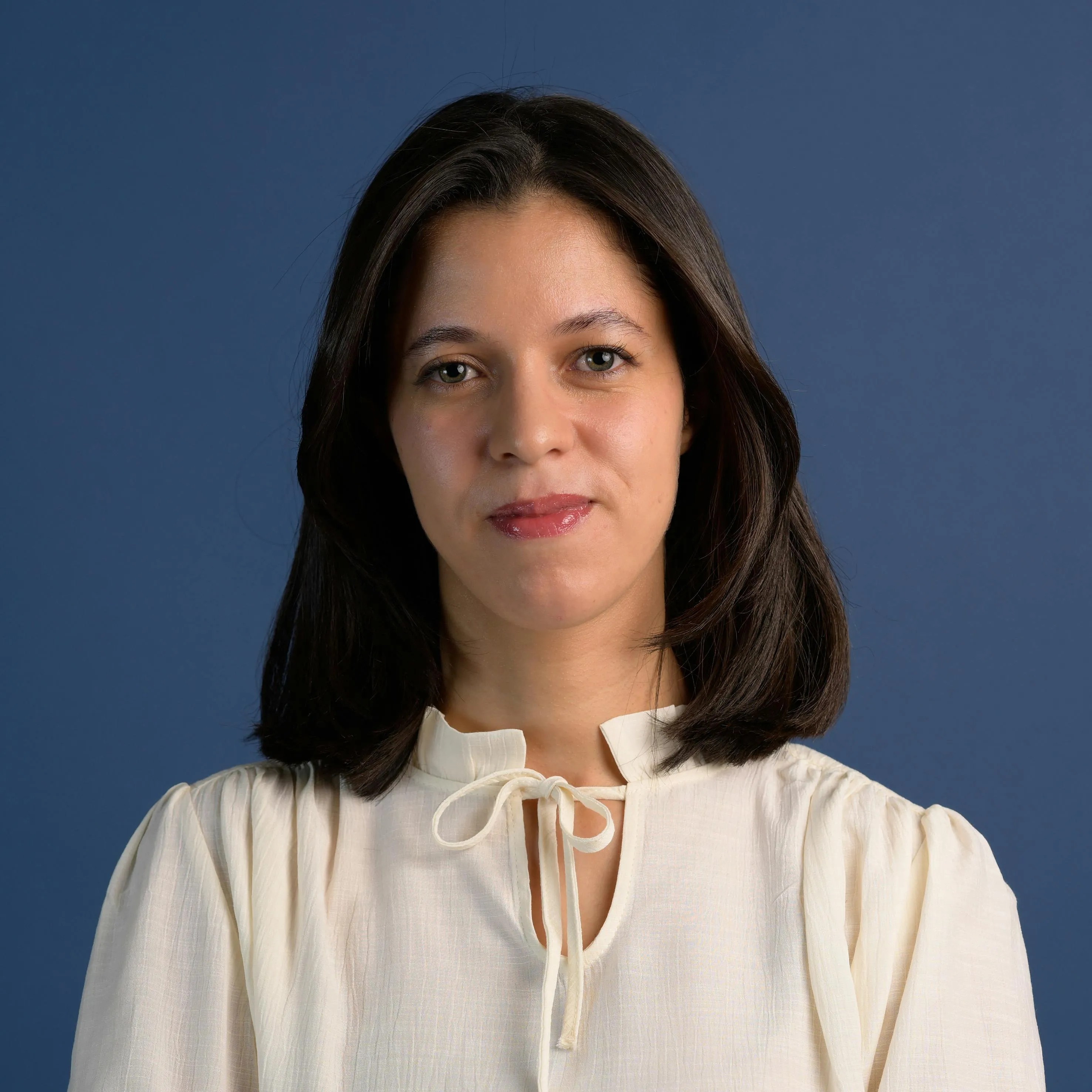 Arij Hemissi